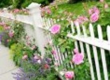 Kwikfynd Garden fencing
lorinna